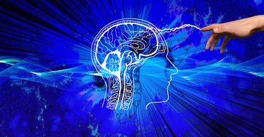 Щоденне тренування мозку: 7 нейробіологічних порад для сучасного лідера