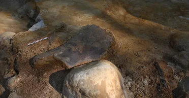 На краю замерзшей земли: в Польше археологи обнаружили мастерскую неандертальцев