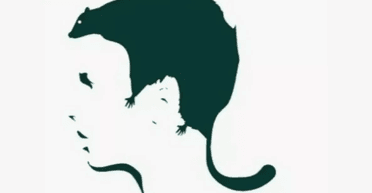 Усе, про що ви не знали: загадкова оптична ілюзія розкриє ваші потаємні страхи (фото)