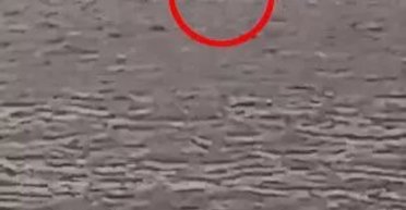 Как на оригинальном фото: житель Ирландии сфотографировал Лох-Несское чудовище