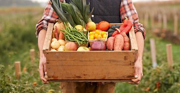 Чистые деньги. Как украинским производителям органической продукции преодолеть "сырьевое проклятие"