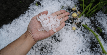 Американка захотела выпить на террасе парижского ресторана, но была шокирована увиденным