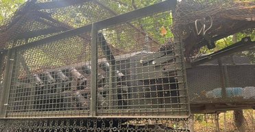 Конструкции от "Стального фронта" будут защищать бронетехнику ВСУ и жизни ее экипажей от FPV-дронов