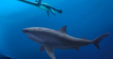 Гигантская акула возрастом 115 млн лет изменила все: эволюцию хищников придется пересмотреть