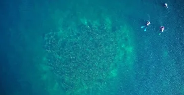 Никто не знает, почему они там: ученые обнаружили гигантские курганы на дне Боденского озера