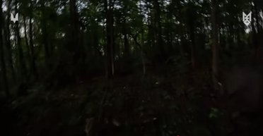 Бойцы ССО совершили успешный "налет" на позицию ВС РФ на границе с Россией (видео)