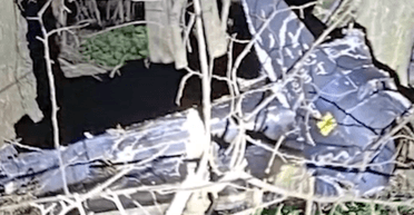 Вдало влучили: як мобільні вогневі групи знищили Shahed на Херсонщині (відео)