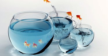 Никогда не поздно. Почему из всех профессий самой востребованной скоро станет учитель