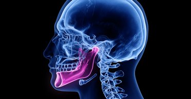 Челюсть отвисла. Исследователи нашли в человеческом теле новую часть