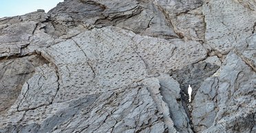 Тысячи следов гигантов: находка невероятных масштабов в итальянских Альпах (фото)