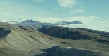 Нашли мумифицированный лес: за Полярным кругом ученые обнаружили остатки деревьев эпохи эоцена (фото)