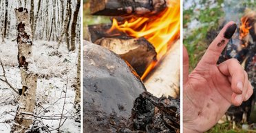 Антибіотики вперше використовували задовго до появи людей: хто на Землі був настільки розумний