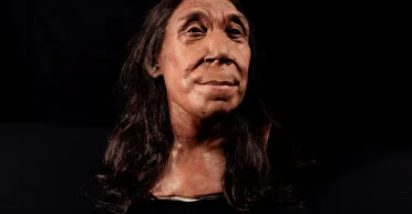 Осложнения стали фатальными: новая теория объясняет вымирание неандертальцев