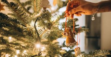 Тысячи гривен или годы за решеткой: как в Украине наказывают за незаконную покупку и вырубку елок