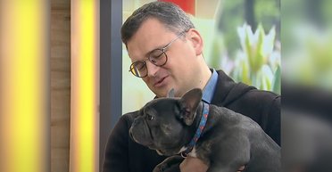 Экс-глава МИД Кулеба показал, как его собаки испугались удара РФ по Киеву (фото)