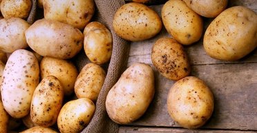 Из-за неурожая: импорт картофеля в Украину в 2024 году вырос на 90% (фото)