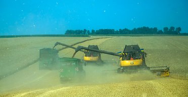 Поддались влиянию электората: зачем в ЕС запретили украинское зерно