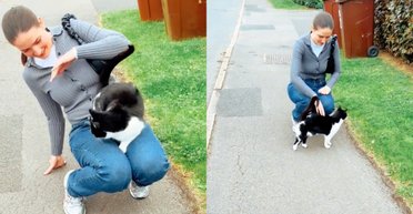 Жінка хотіла погладити вуличну кішку, але події набули несподіваного обороту (відео)
