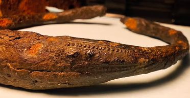 Нашли там, где не ждали: сразу два уникальных украшения викингов обнаружили в Швеции (фото)