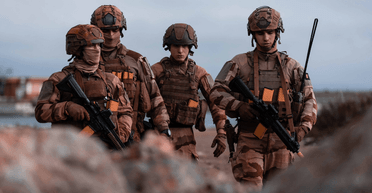 Франция создает альянс стран, которые готовы разместить свои войска в Украине, — Politico