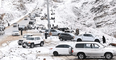 Пустеля в Саудівській Аравії вперше в історії перетворилася на "зимову країну чудес" (відео)