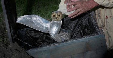 Искали статуэтку совы: во Франции завершилась 31-летняя охота за спрятанным сокровищем