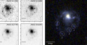 Виявлено найдальшу "космічну медузу": у космосі сталося щось несподіване (фото)