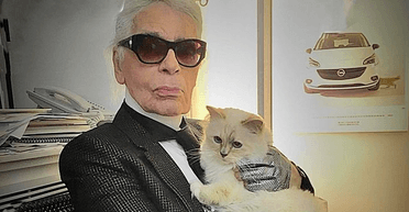 "Сумую за тобою": кішка Шупетт "звернулася" до Лагерфельда в річницю його дня народження (фото)