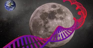 На Землі зникають тварини: вчені хочуть врятувати їх у космосі на відстані майже 400 000 км