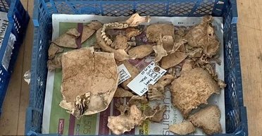 В Британии обнаружили останки 240 взрослых и детей, найденные на месте бывшего универмага (фото)