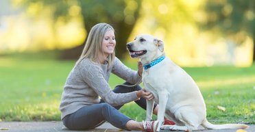 Люди гуляют с собаками неправильно, делая всегда ту же самую ошибку: подробности