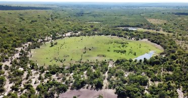 Под "кругами фей" нашли запасы чистейшей энергии на Земле: они разбросаны по всему миру