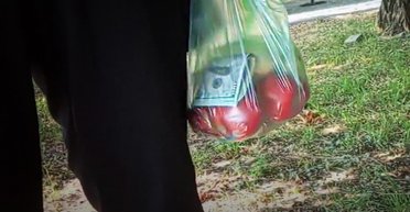 НАБУ і САП затримали на хабарі суддю: гроші він сховав у пакет із яблуками (фото)