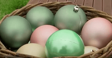 Главная елка Украины: чем ее украсят, и кто может в этом поучаствовать