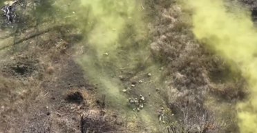 Цветной штурм: квартет бойцов ВСУ на Запорожье заставил оккупантов бежать с позиций (фото)