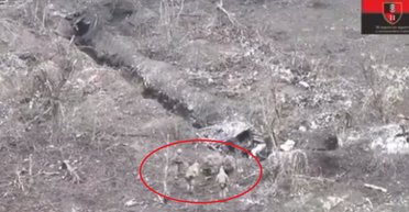 Пятеро бойцов ВСУ отбили позиции ВС РФ вблизи Синьковки и захватили пленных (видео)