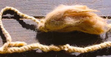 Раскроют секреты целых народов: ученые приблизились к разгадке значений кипу (фото)