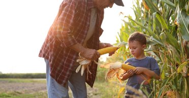 Евросоюзу товары из Украины не нужны: почему меняют правила для экспортеров