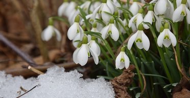 Станет заметно холодней: на этой неделе погода в Украине резко изменится