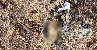 "Звʼязали руки, а потім убили": ЗС РФ розстріляли полонених під Токмаком, — Стерненко (фото)