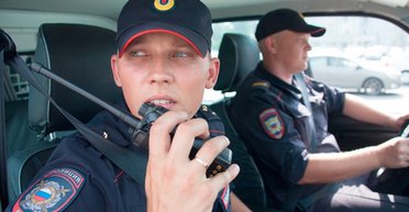 Пела "Несе Галя воду": в Бурятии овца в вышиванке наделала переполох (фото)