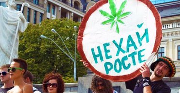 Нехай росте? Какие сюрпризы скрывает законопроект о легализации медицинской марихуаны