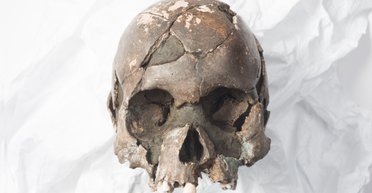 SPF крем древних людей: почему неандертальцы могли погибнуть из-за солнца