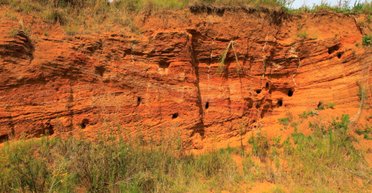 Учені знайшли таємні тунелі у Південній Америці: їх створили не люди