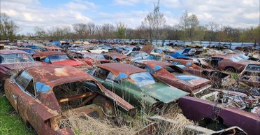 Ржавые сокровища: обнаружено огромное кладбище редких американских ретро-авто (видео)