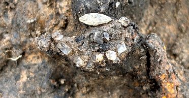 Золото, украшения и монеты: археологи нашли богатое захоронение римской эпохи во Франции (фото)