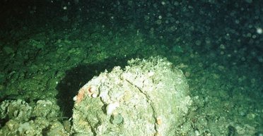 На дне Атлантики лежит радиоактивная "бомба": там закопаны 200 тыс. токсичных бочек (фото)