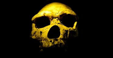 Якось на всій Землі залишилося всього 1300 осіб: так тривало протягом 117 тис. років