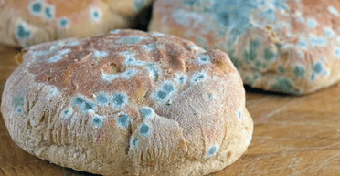 Які продукти не можна врятувати, якщо з'явилася цвіль: небезпечно для здоров'я