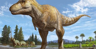 Учені виявили новий вид тиранозавра: він старший за Tyrannosaurus rex на 6 млн років (фото)